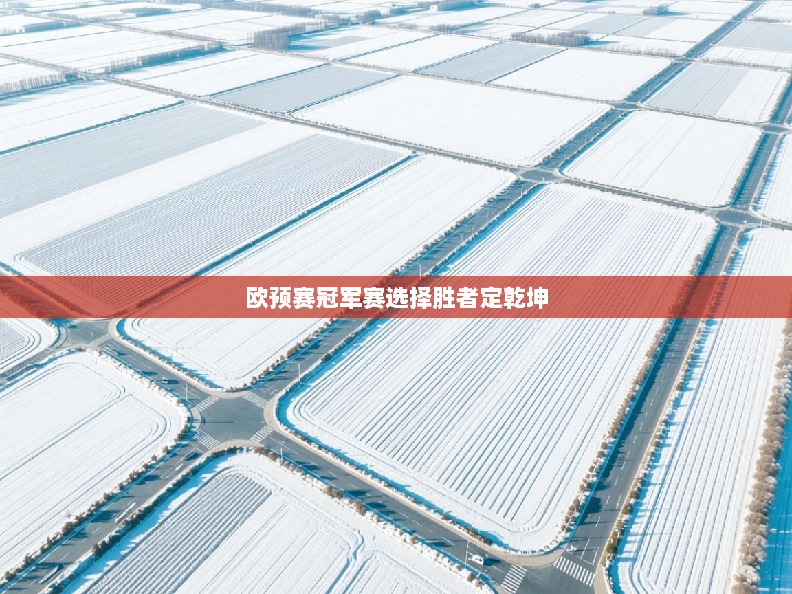 欧预赛冠军赛选择胜者定乾坤 第1张