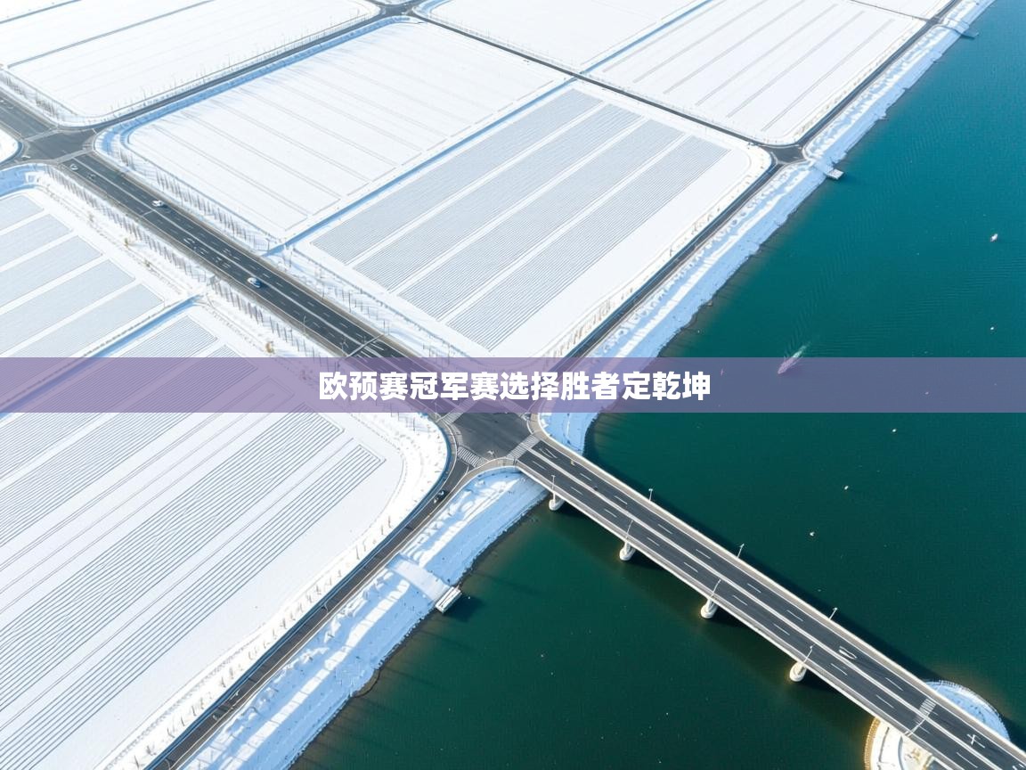 欧预赛冠军赛选择胜者定乾坤 第2张
